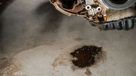 harley oil leak right side|Common Fluid Leaks in Harley Davidson Explained